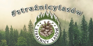 Logo: Strażbicy Lasów